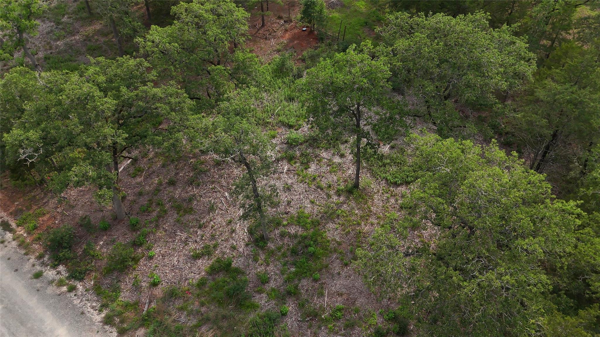 200 Cheyenne Drive Smithville TX 78957