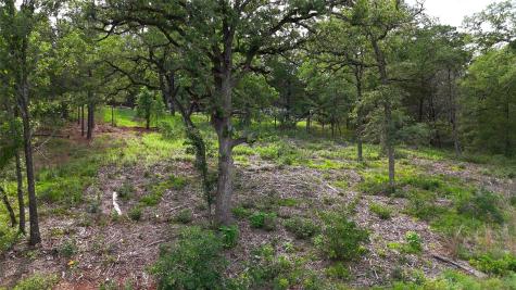200 Cheyenne Drive Smithville TX 78957