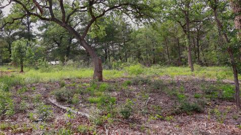 200 Cheyenne Drive Smithville TX 78957