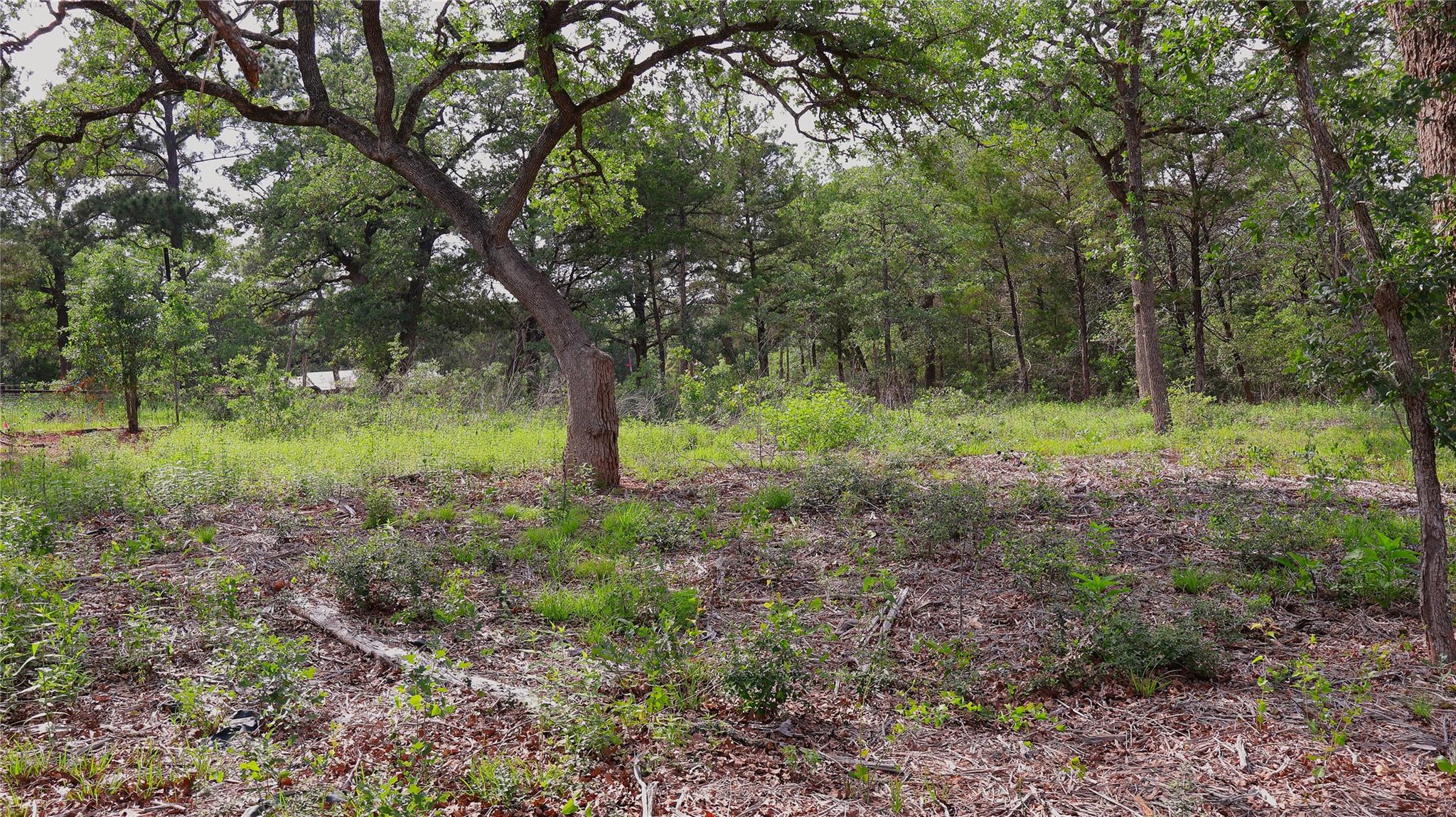 200 Cheyenne Drive Smithville TX 78957