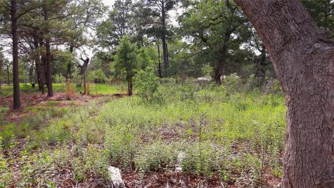 200 Cheyenne Drive Smithville TX 78957
