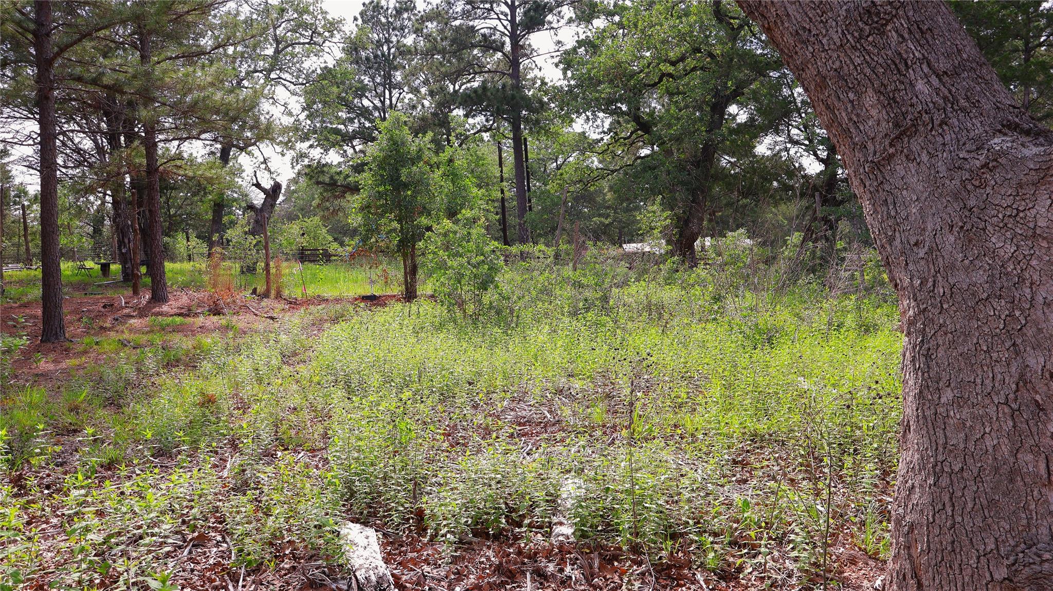 200 Cheyenne Drive Smithville TX 78957
