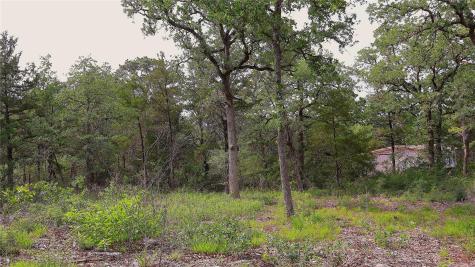 200 Cheyenne Drive Smithville TX 78957