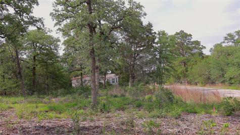 200 Cheyenne Drive Smithville TX 78957