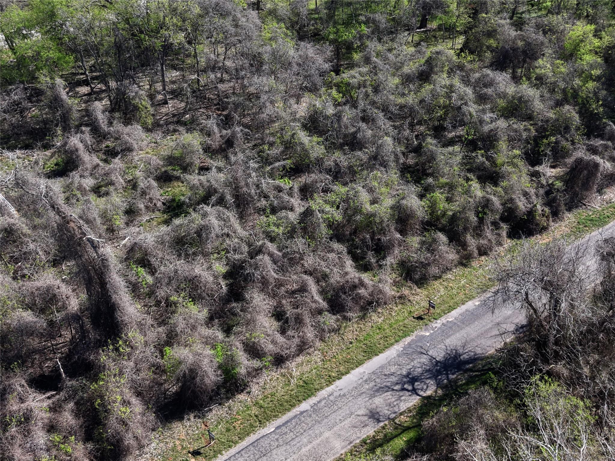 452 E Riverside Drive Bastrop TX 78602