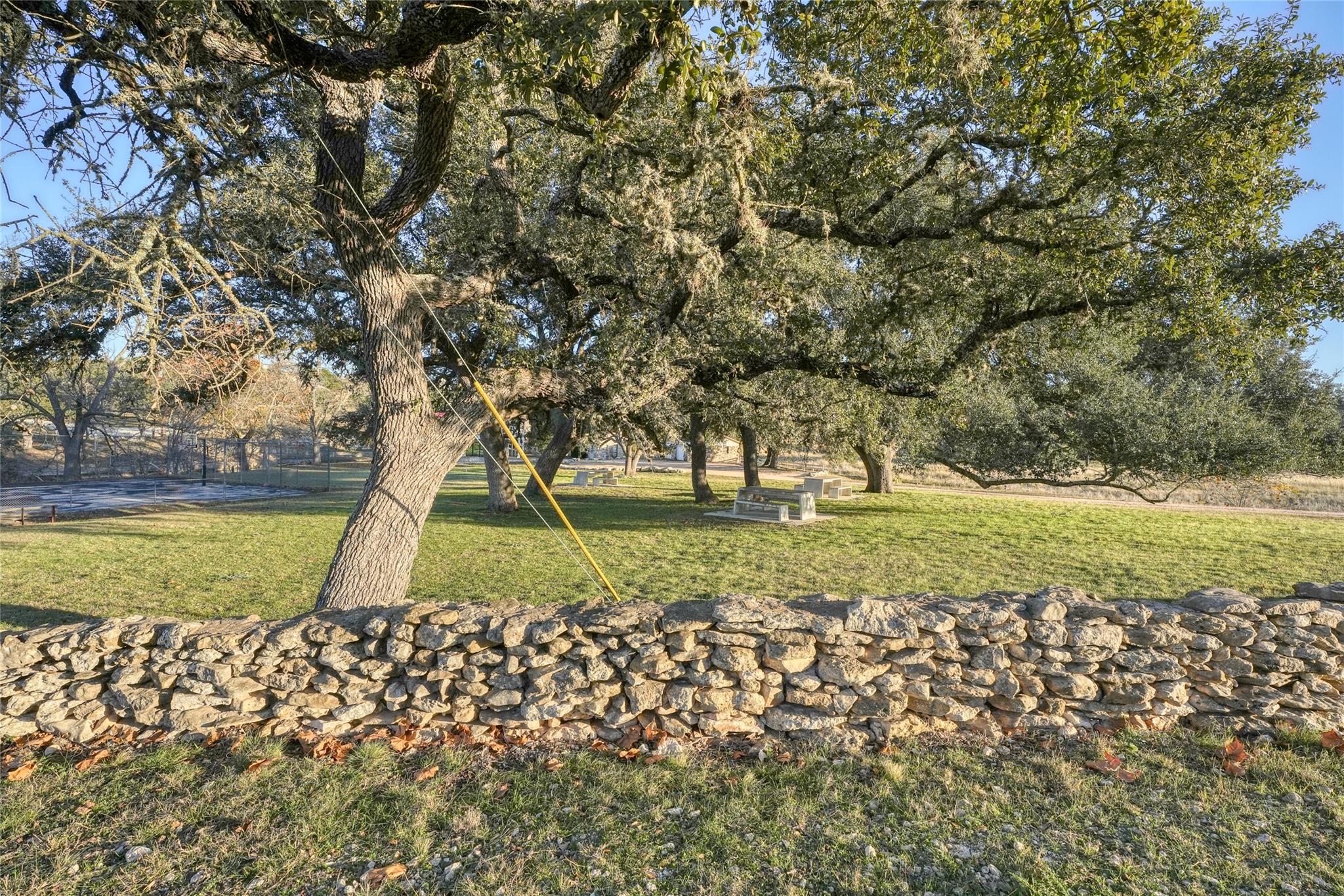 136 Falling Oak Drive Blanco TX 78606