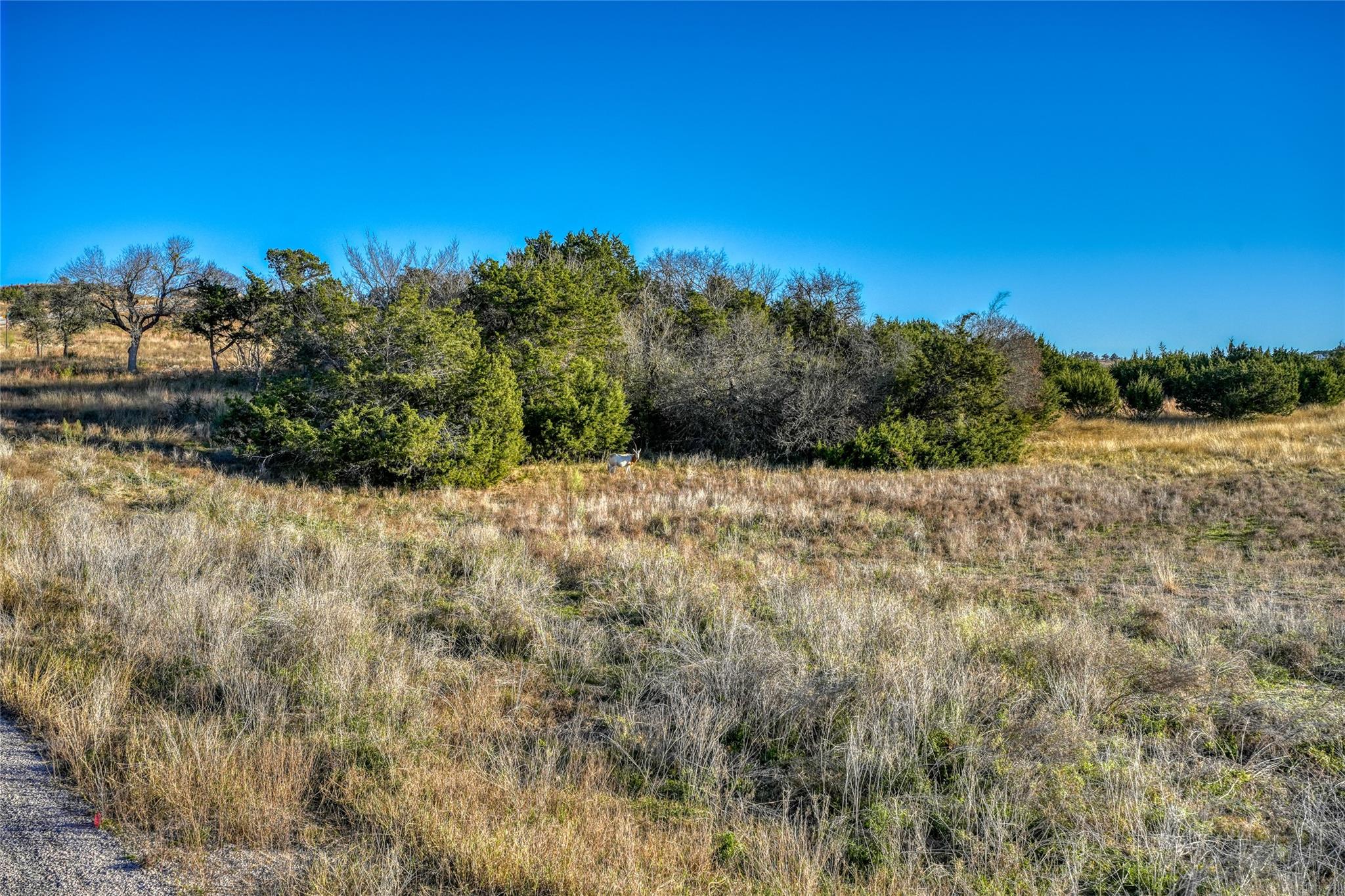 136 Falling Oak Drive Blanco TX 78606