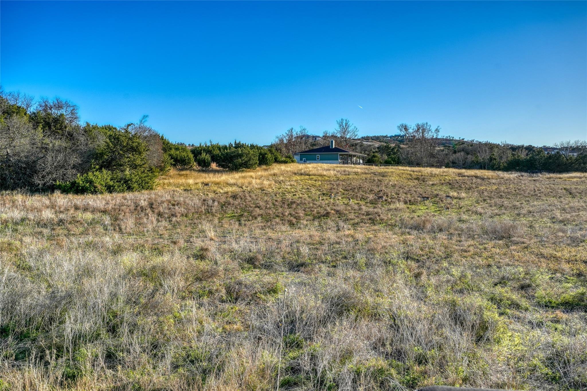 136 Falling Oak Drive Blanco TX 78606