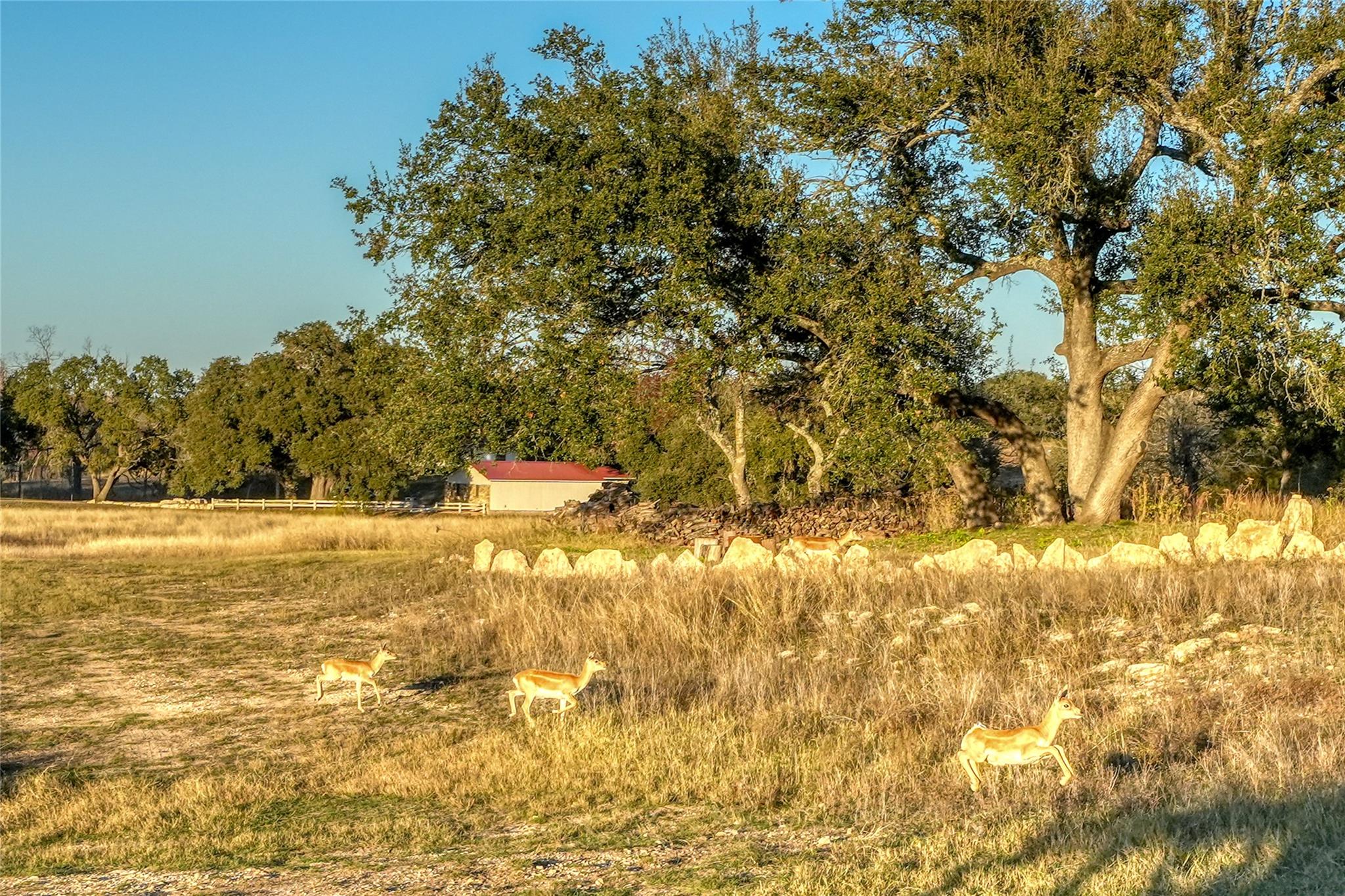 136 Falling Oak Drive Blanco TX 78606