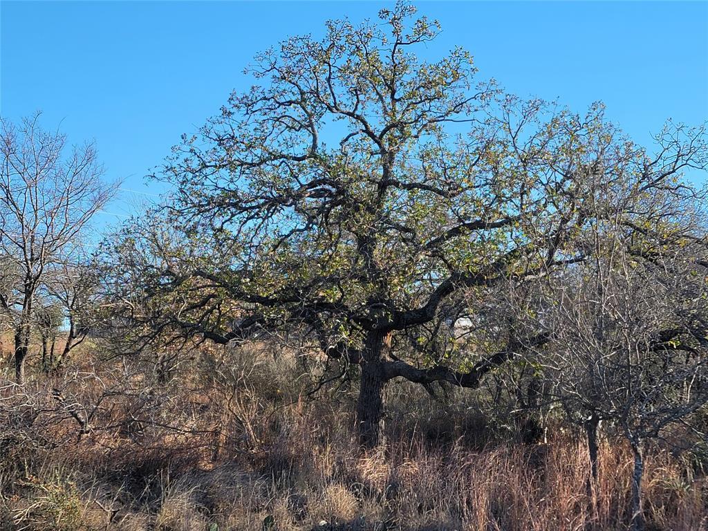 Lot 434-435 Rockcrest Drive Granite Shoals TX 78654