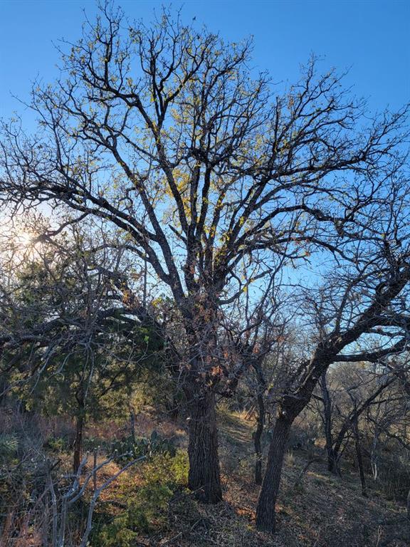 Lot 434-435 Rockcrest Drive Granite Shoals TX 78654