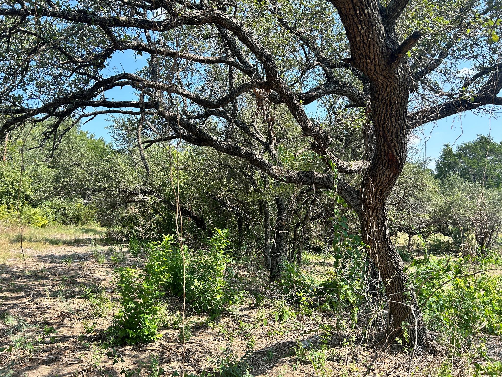 18310 Austin Drive Jonestown TX 78645