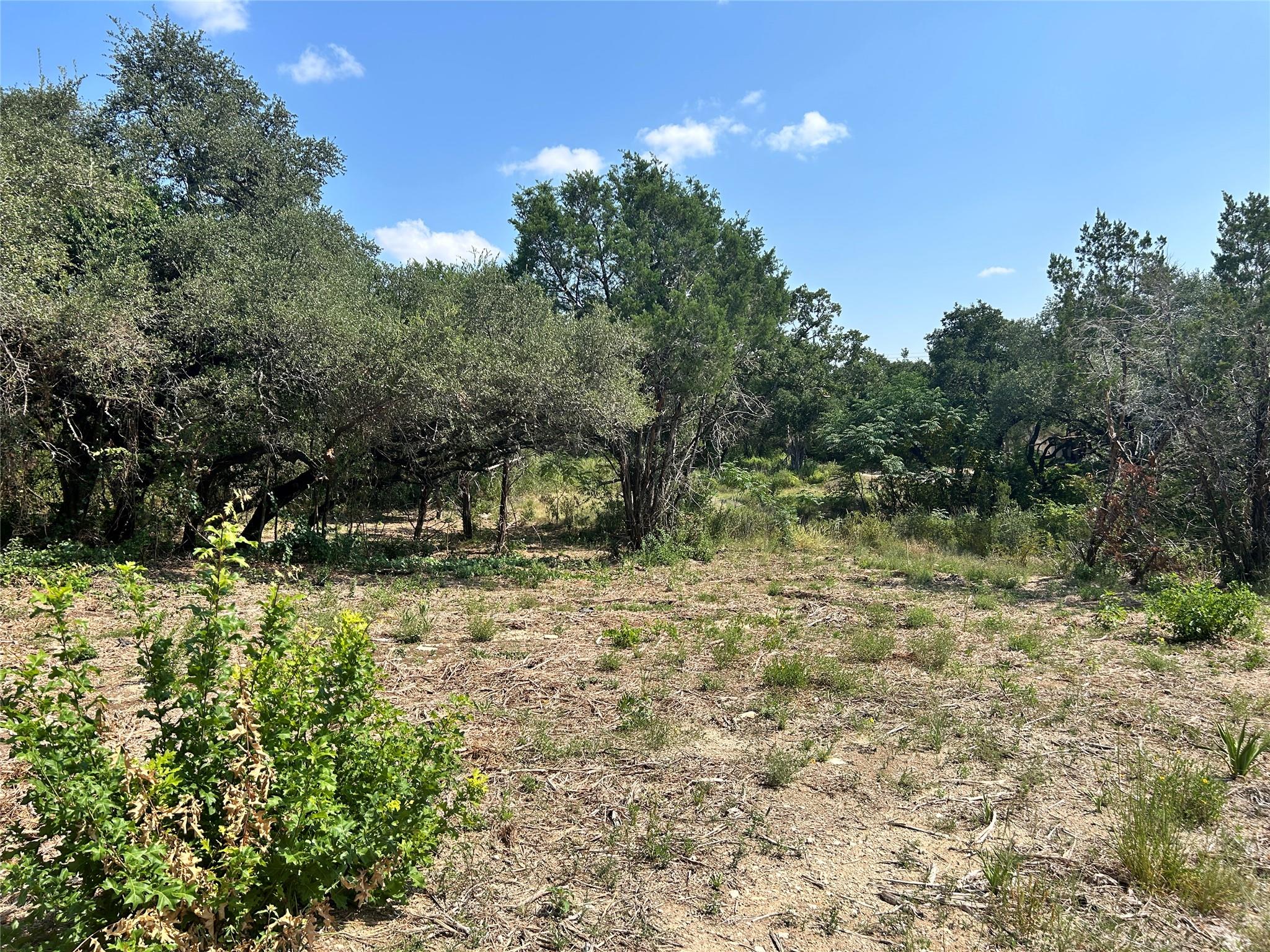 18310 Austin Drive Jonestown TX 78645