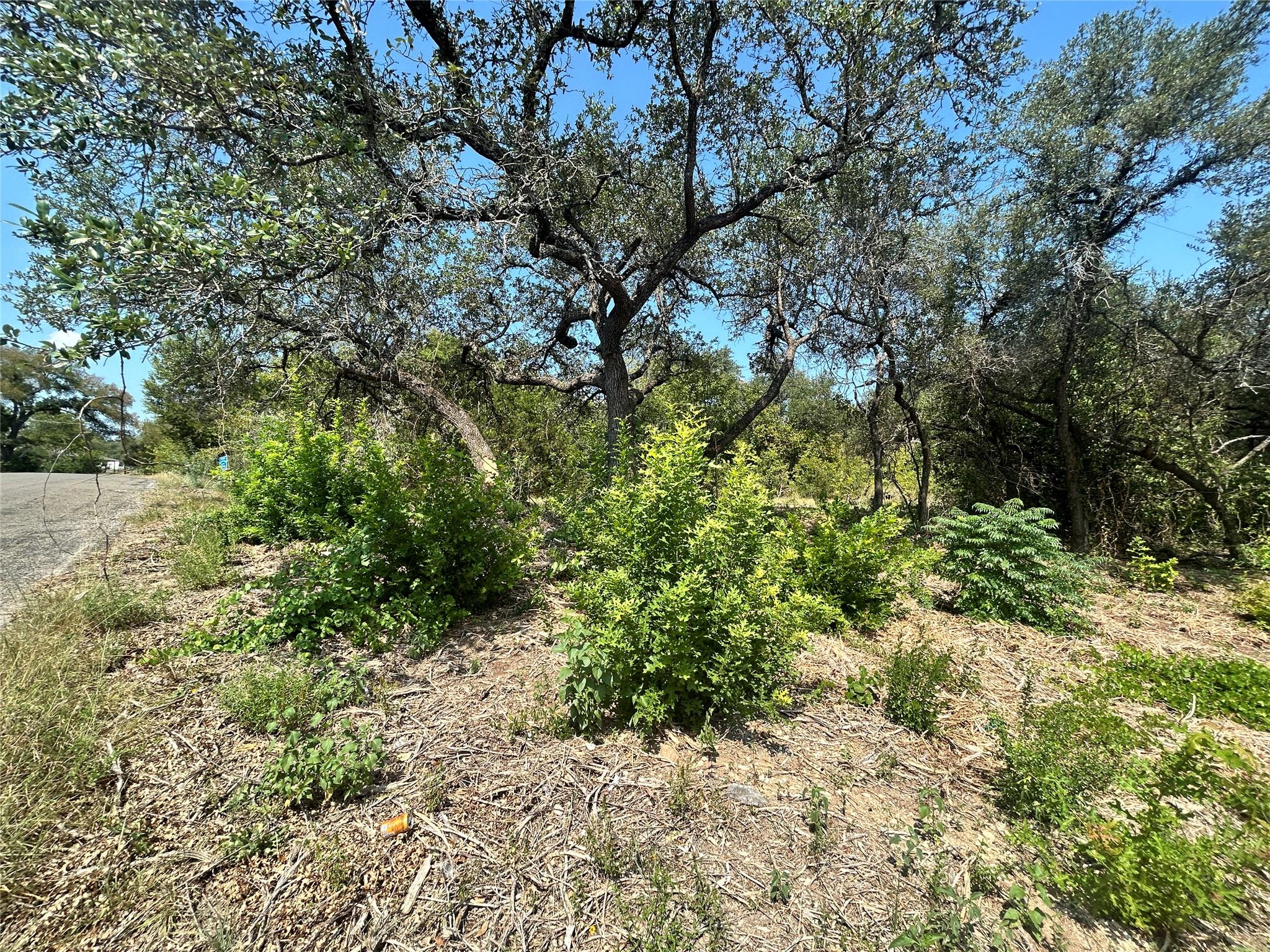 18310 Austin Drive Jonestown TX 78645