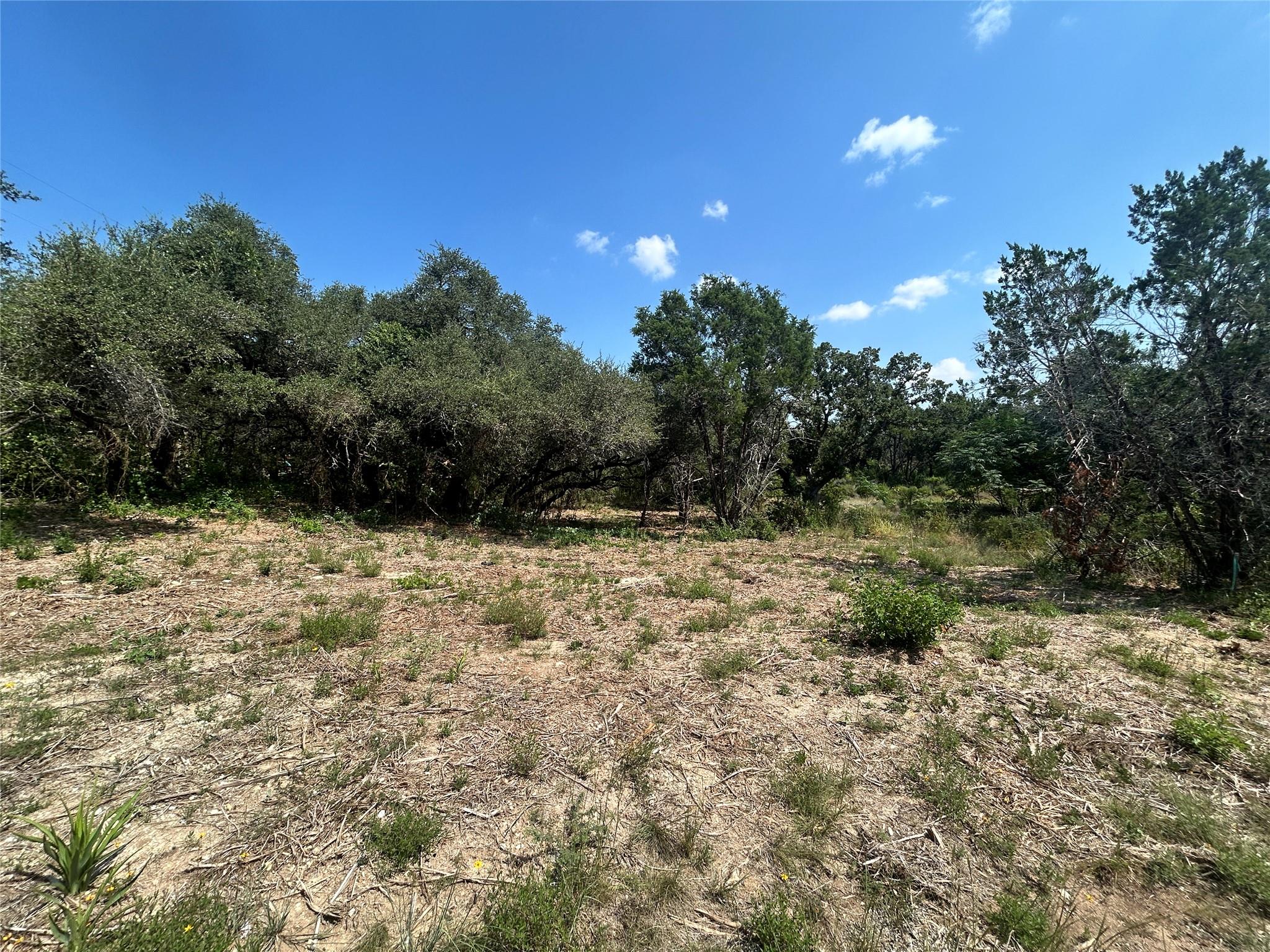 18310 Austin Drive Jonestown TX 78645