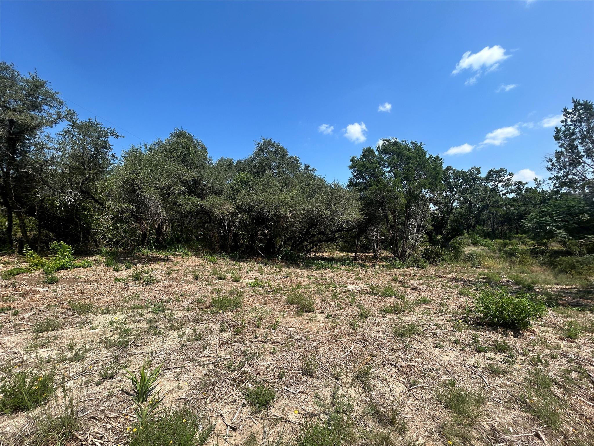 18310 Austin Drive Jonestown TX 78645
