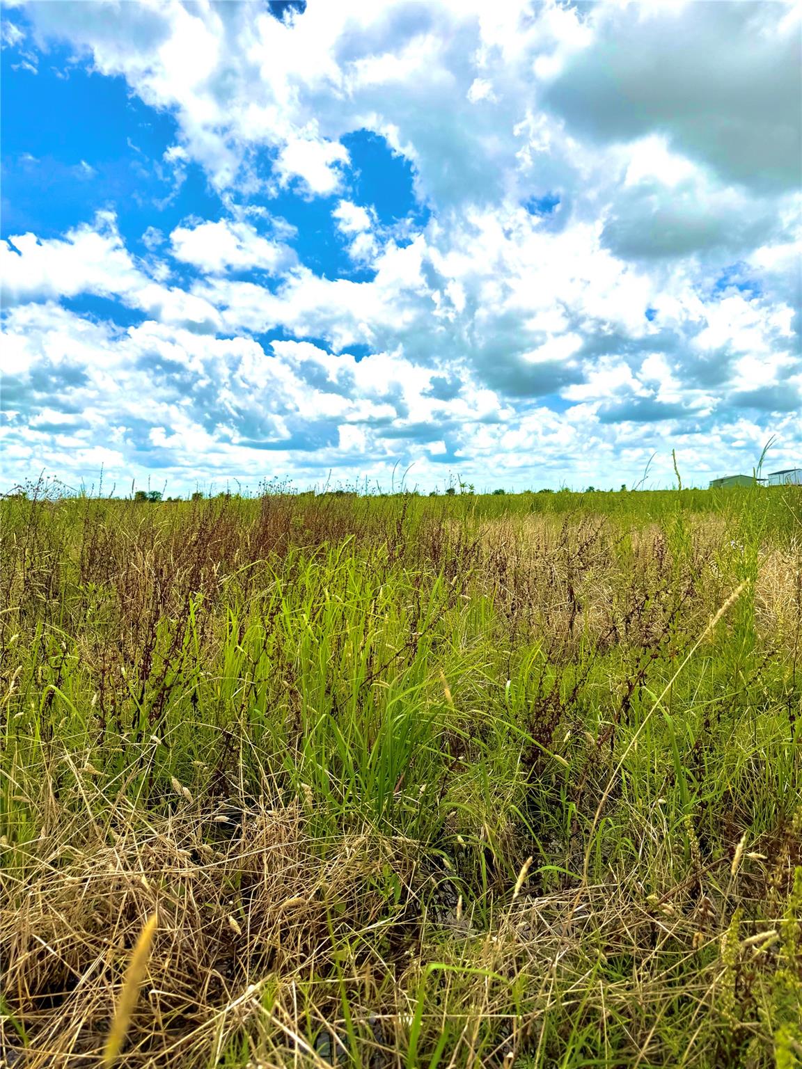 Tbd Tract 4 Beal Road Eagle Lake TX 77434
