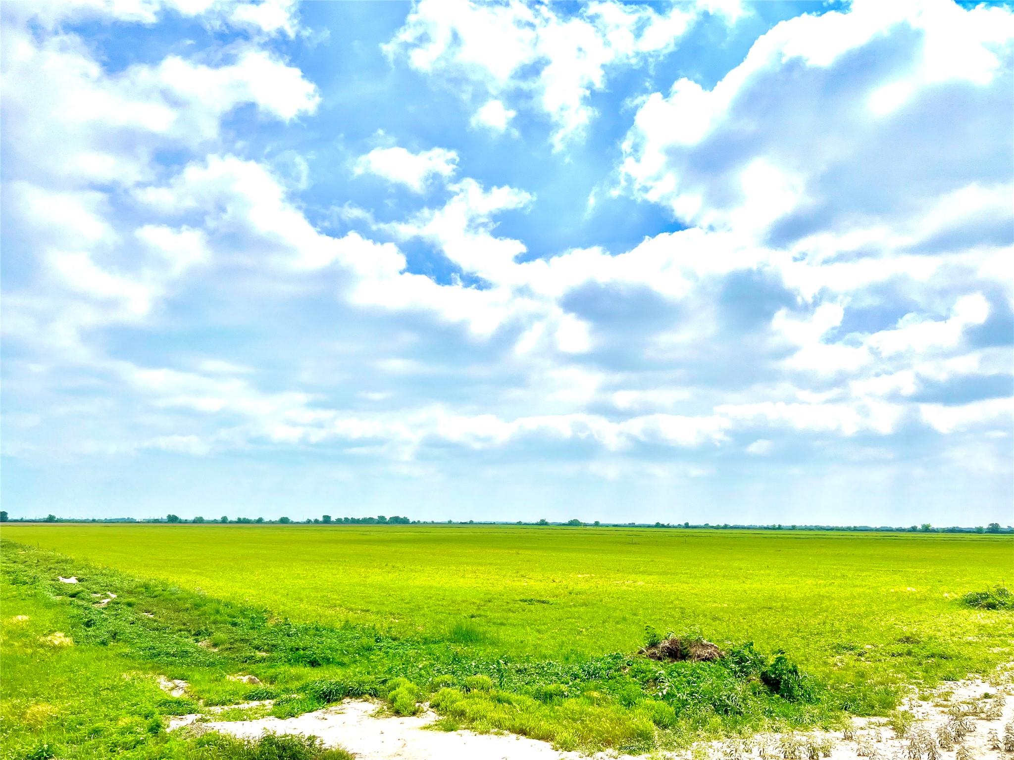 Tbd Tract 4 Beal Road Eagle Lake TX 77434