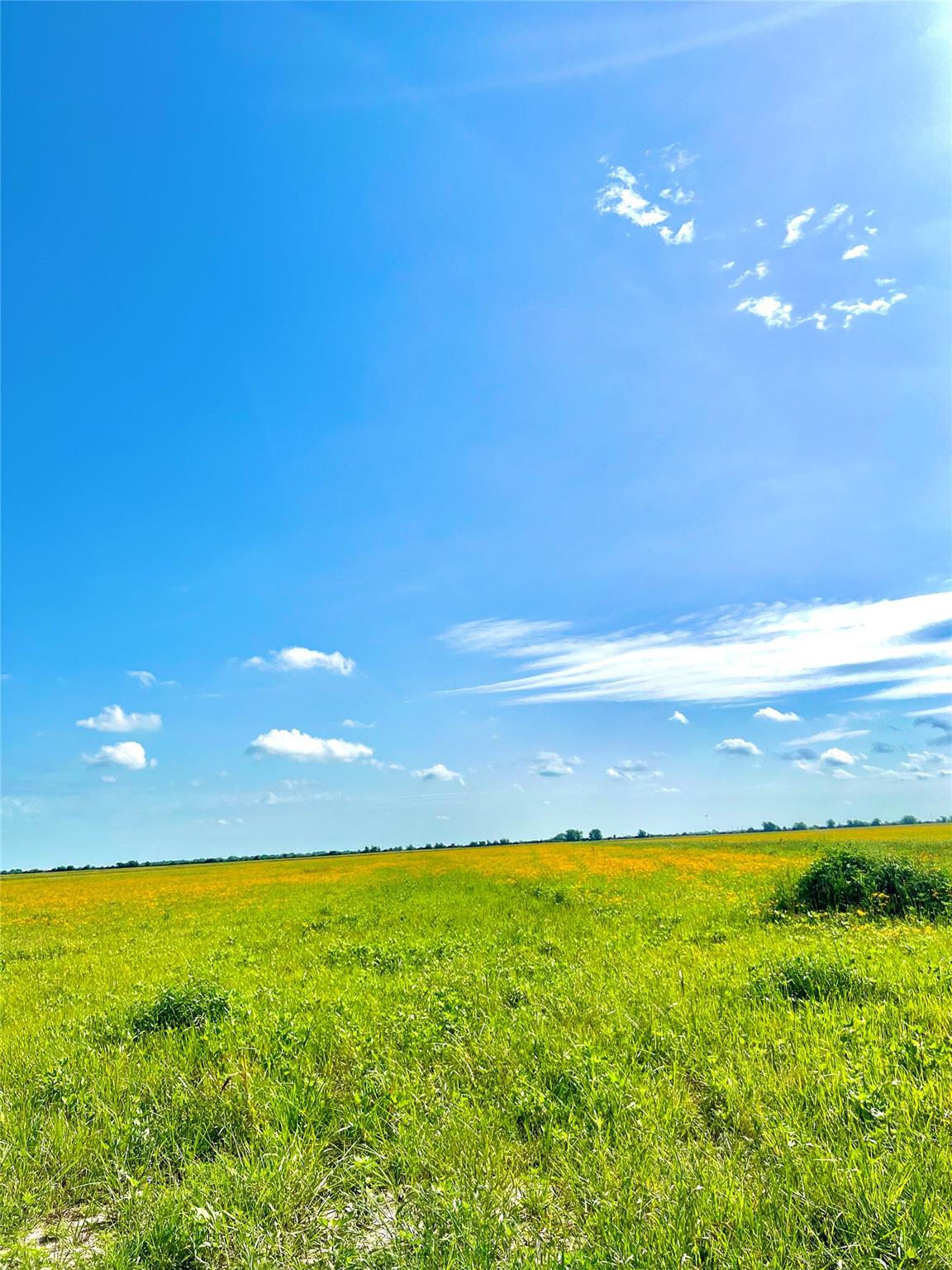 Tbd Tract 4 Beal Road Eagle Lake TX 77434