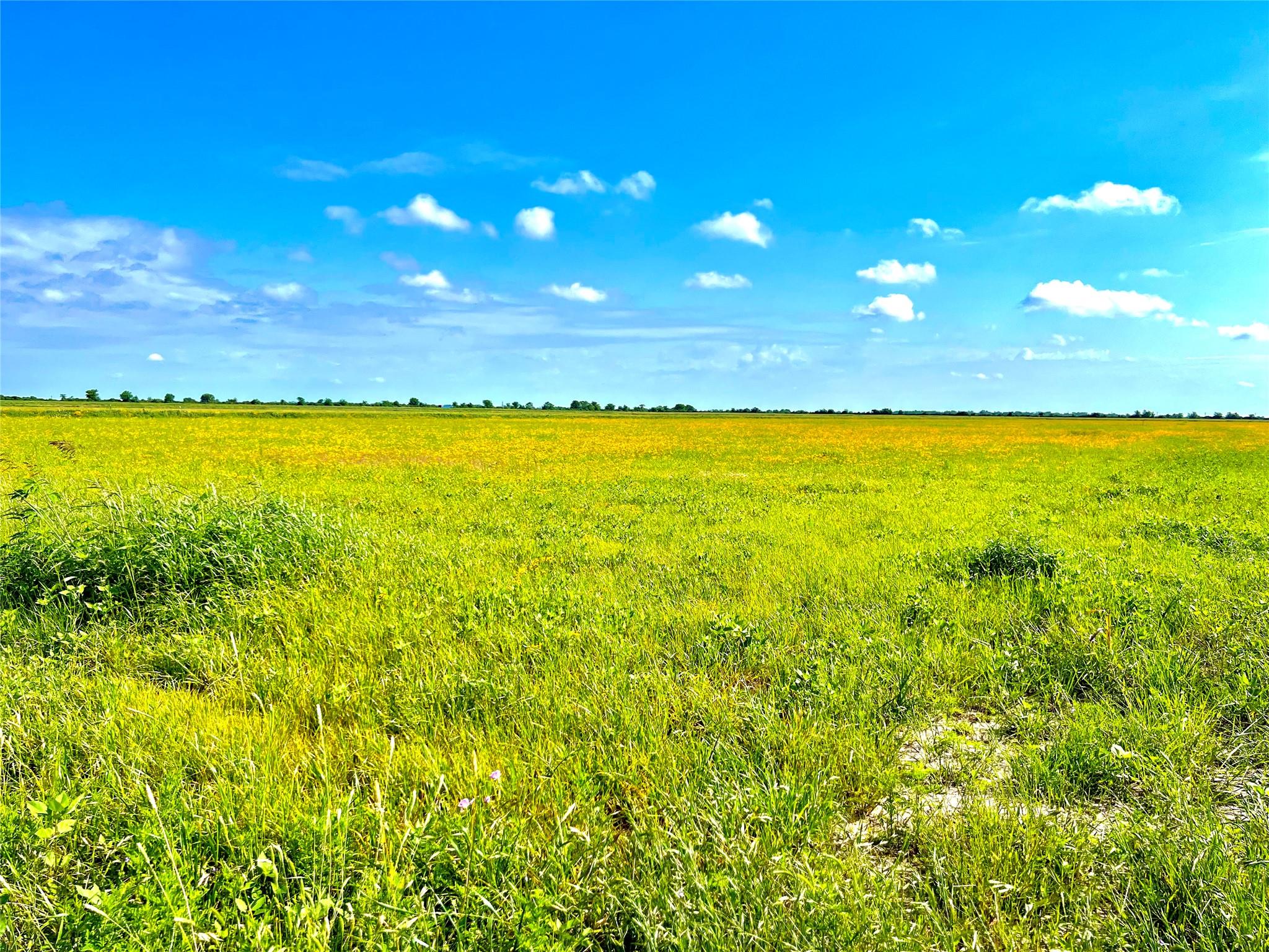 Tbd Tract 4 Beal Road Eagle Lake TX 77434