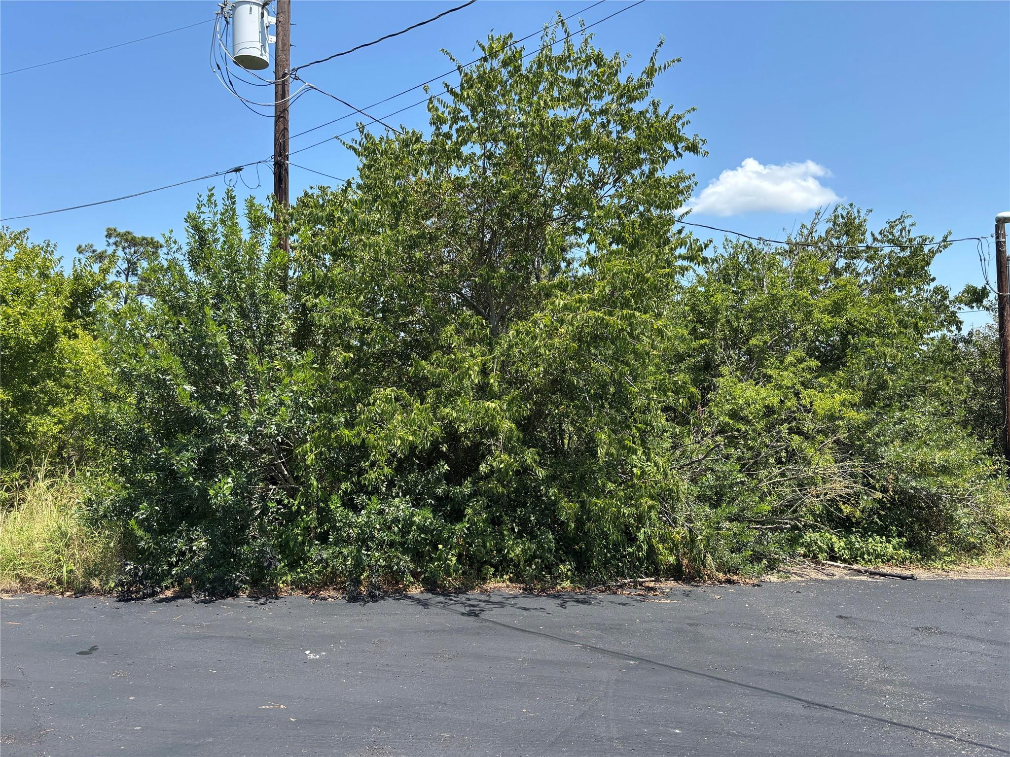 000 Homonu Court Bastrop TX 78602