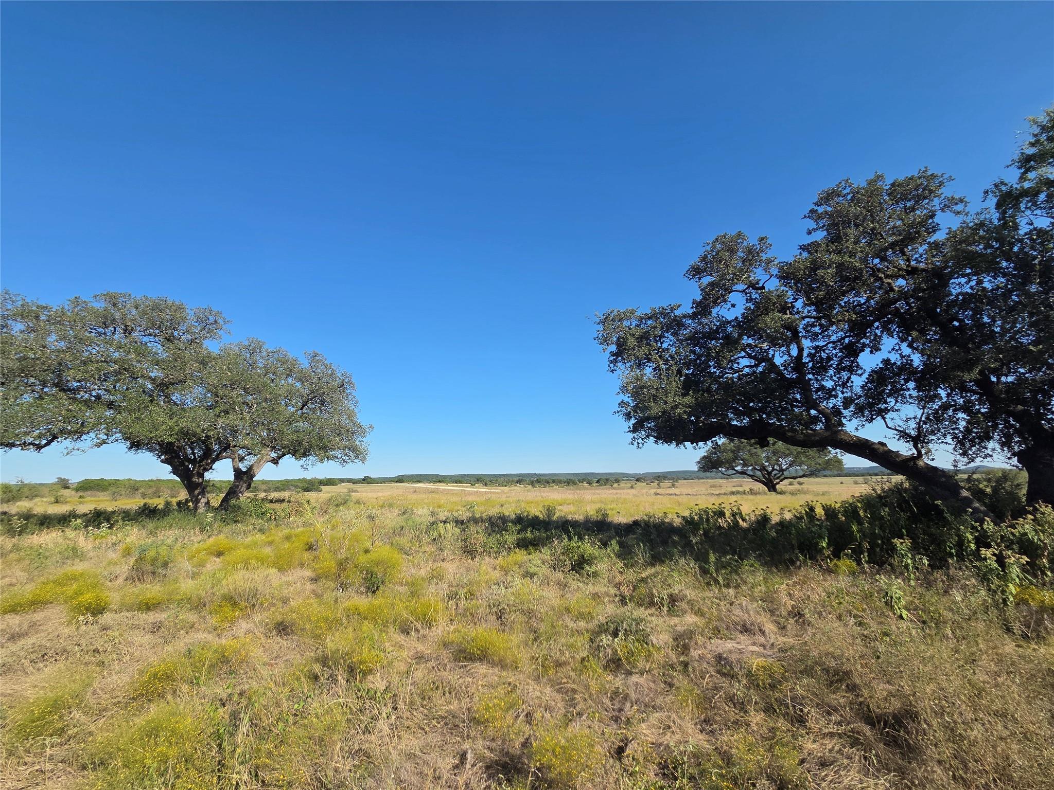 340 Waterbuck Way Gatesville TX 76538