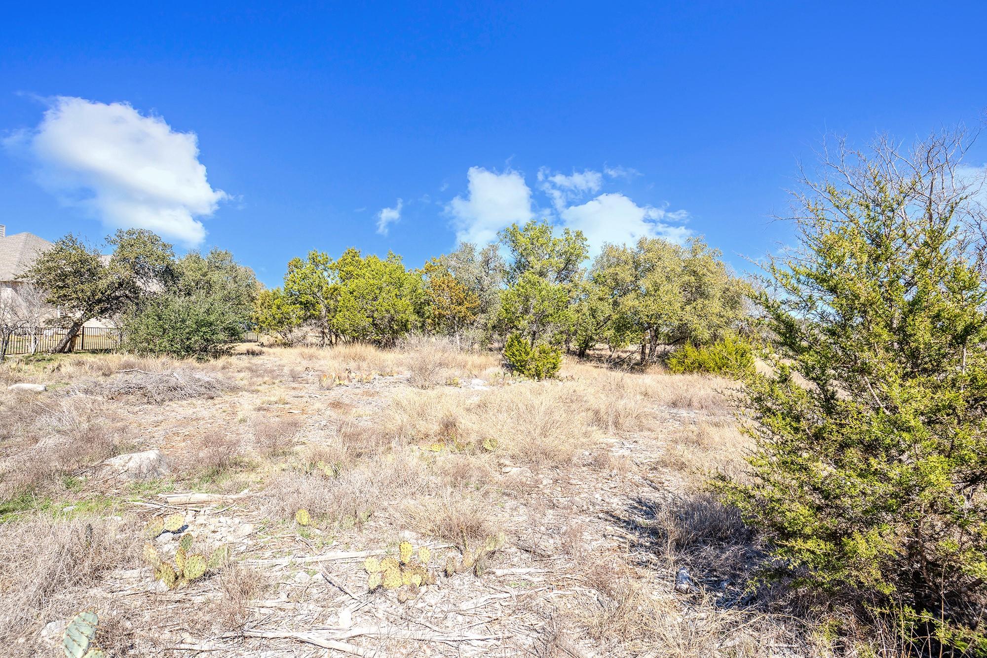 105 Rocky Summit Court Spicewood TX 78669