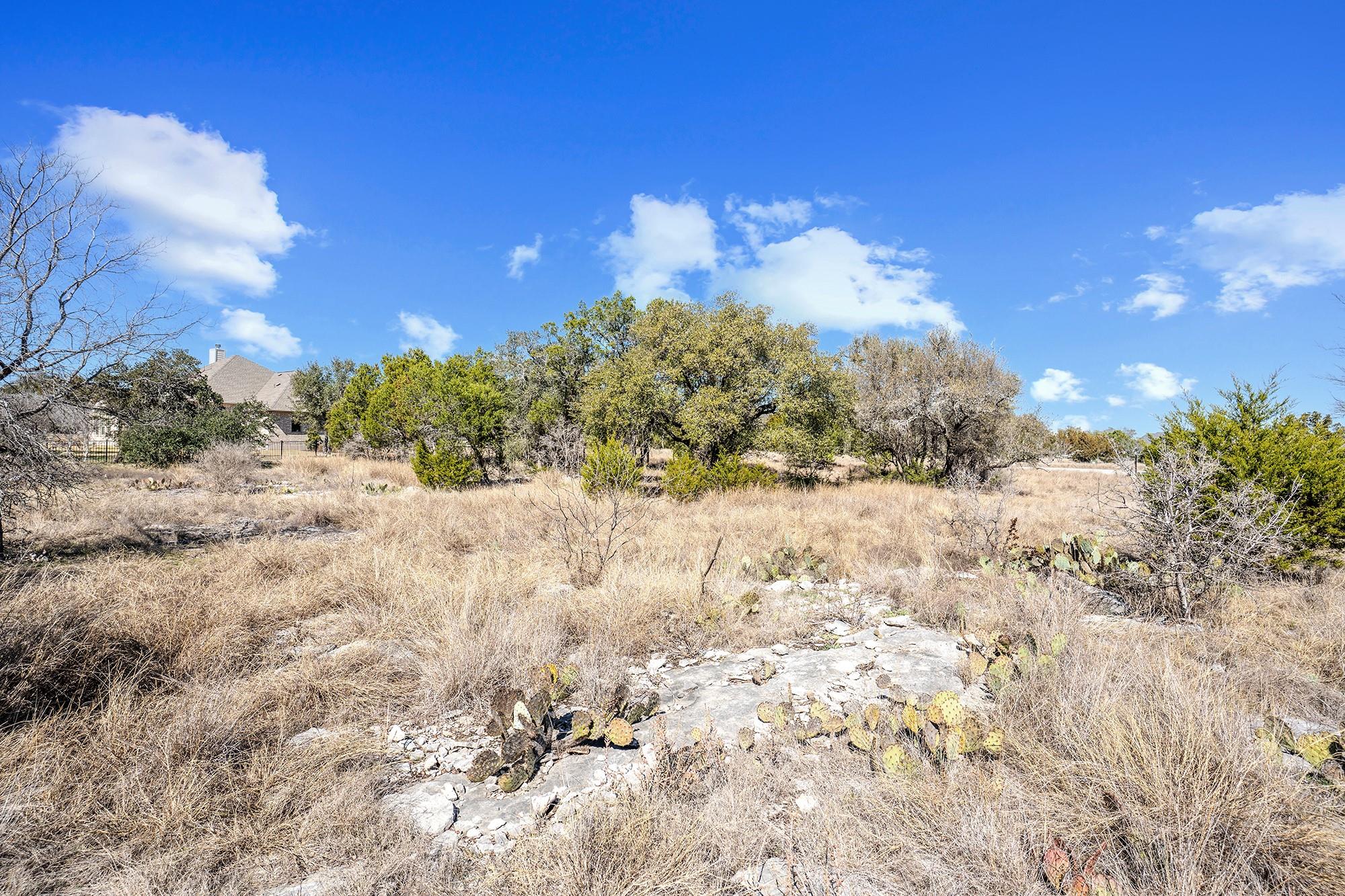 105 Rocky Summit Court Spicewood TX 78669