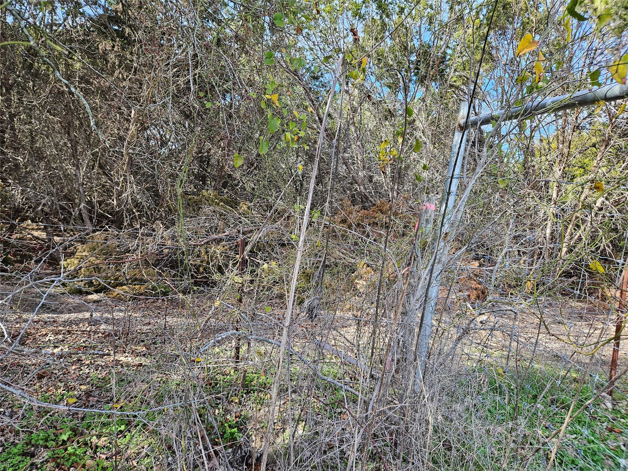 17726 N Fm 973 Road Manor TX 78653