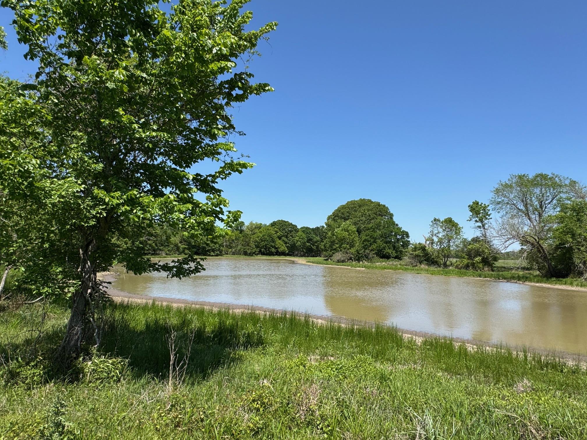 3817 Fm 154 Road Muldoon TX 78949