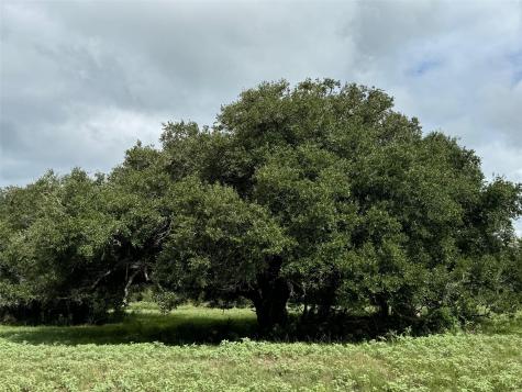 3817 Fm 154 Road Muldoon TX 78949