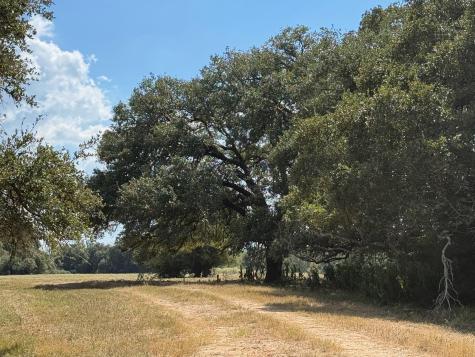 3817 Fm 154 Road Muldoon TX 78949