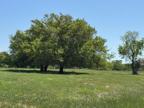 3817 Fm 154 Road Muldoon TX 78949