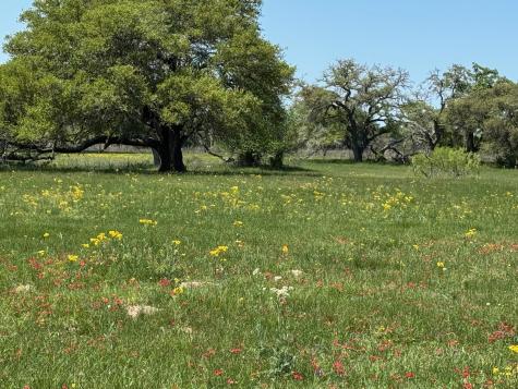 3817 Fm 154 Road Muldoon TX 78949