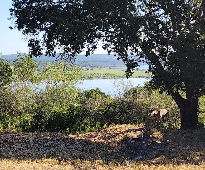 113 (Lot 3b) Hill Loop Spicewood TX 78669