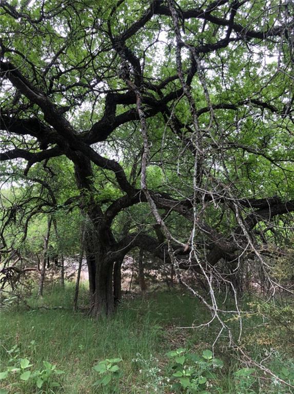 75 E Valley Springs Road Wimberley TX 78676