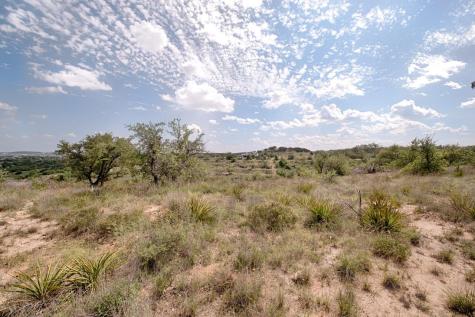 4411 Bob Wire Road Spicewood TX 78669