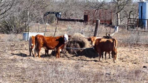Tbd Lytton Lane Dale TX 78616