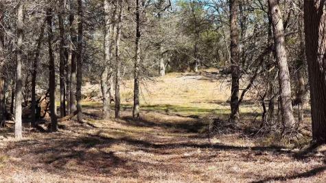 Tbd Lytton Lane Dale TX 78616
