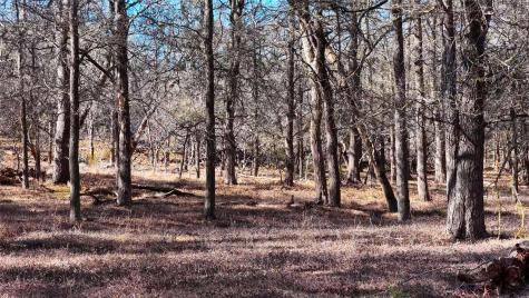 Tbd Lytton Lane Dale TX 78616
