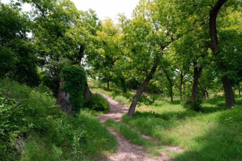 Lot 156 Hilandale Drive Kempner TX 76539