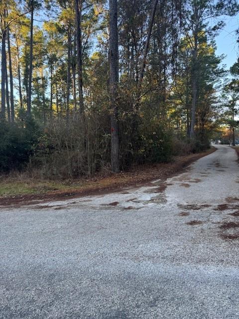 103 Lake Point Way Bastrop TX 78602