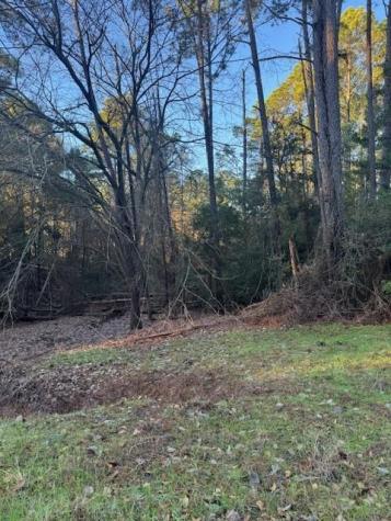 103 Lake Point Way Bastrop TX 78602
