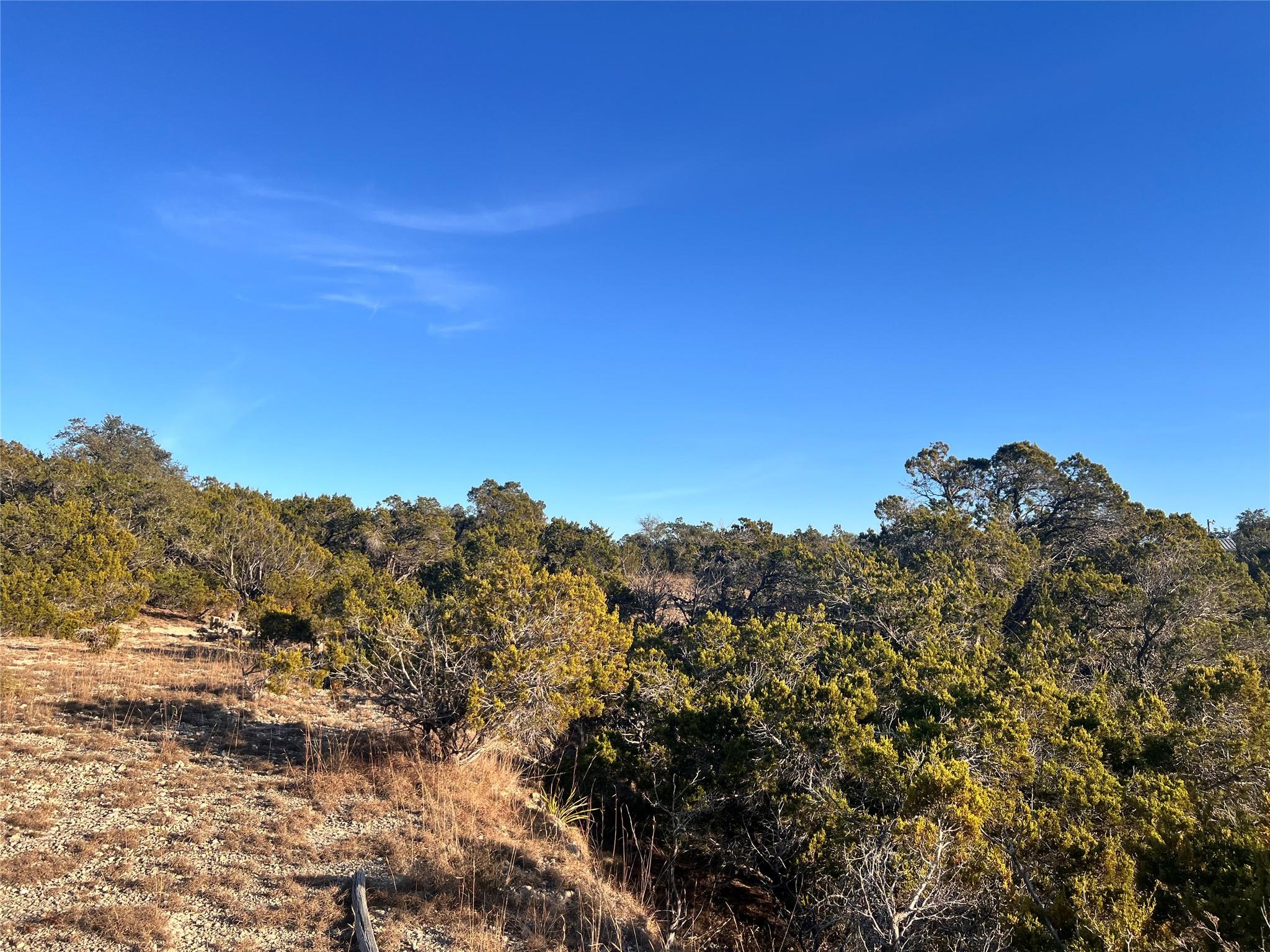1008 Bell Springs Road Dripping Springs TX 78620