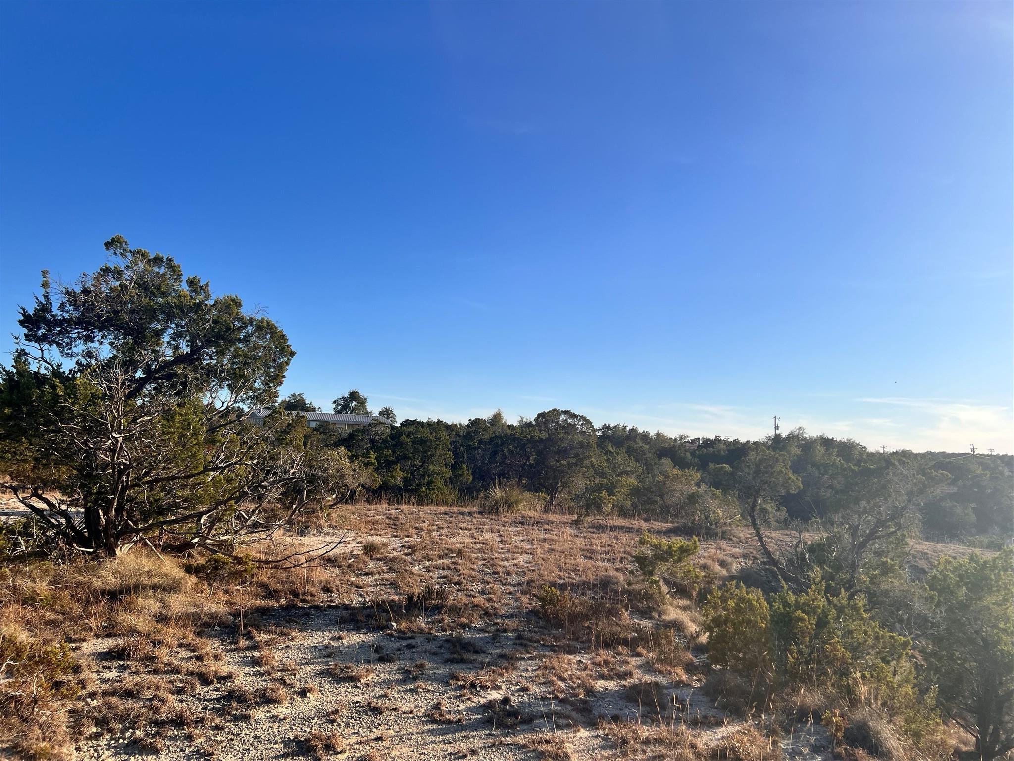1008 Bell Springs Road Dripping Springs TX 78620