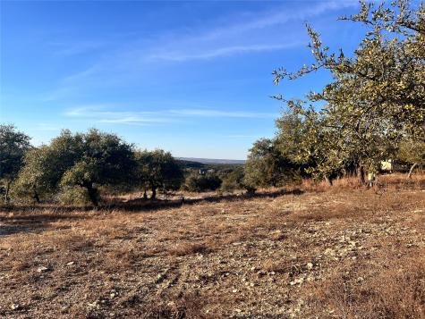 1008 Bell Springs Road Dripping Springs TX 78620