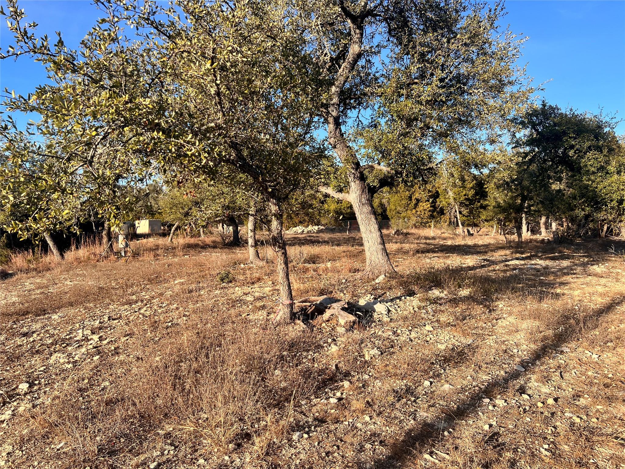 1008 Bell Springs Road Dripping Springs TX 78620
