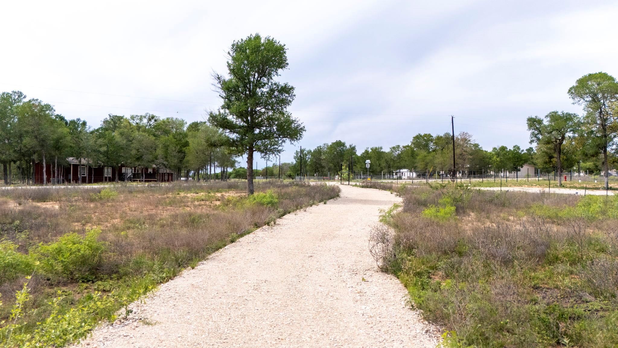171 Comancheria Trail Elgin TX 78621