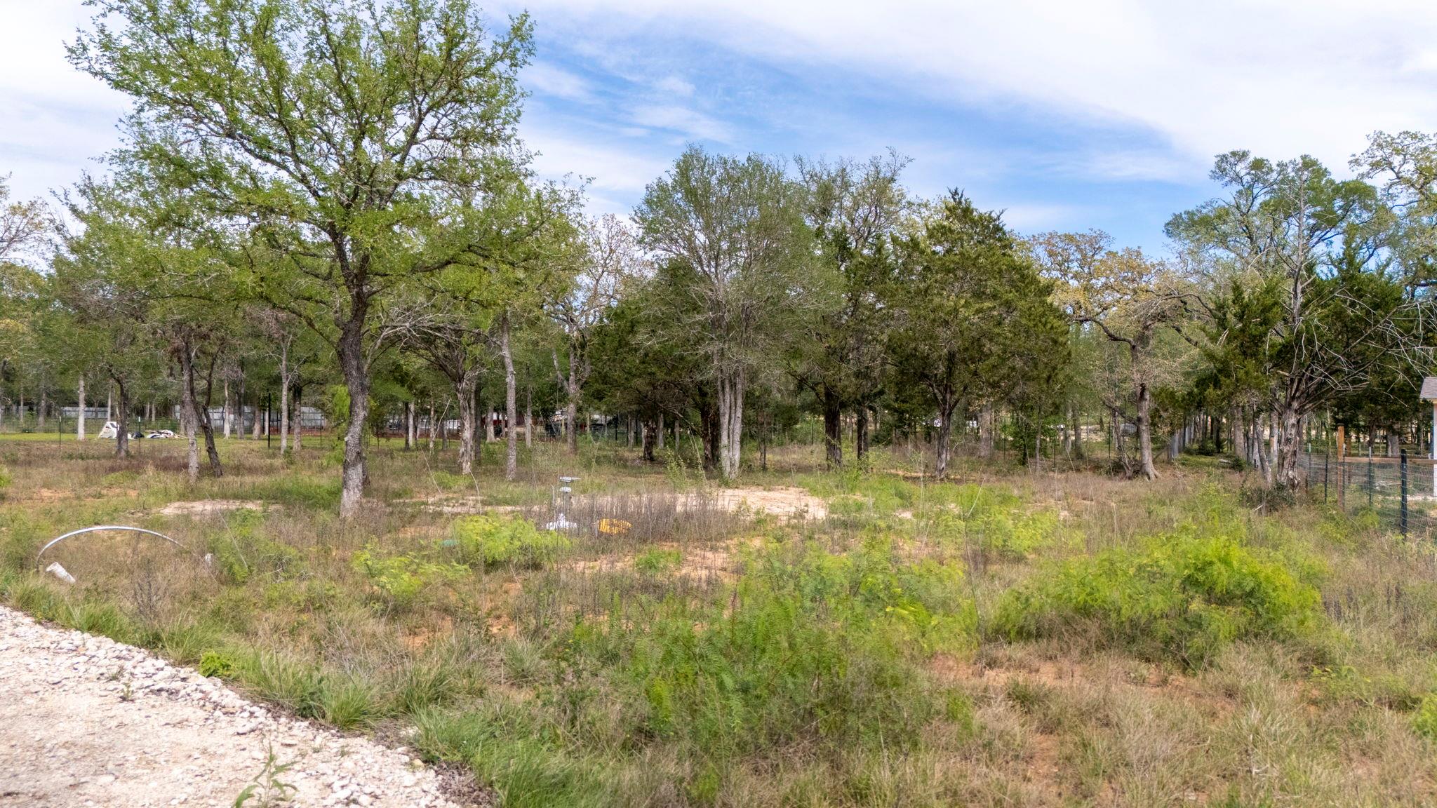 171 Comancheria Trail Elgin TX 78621