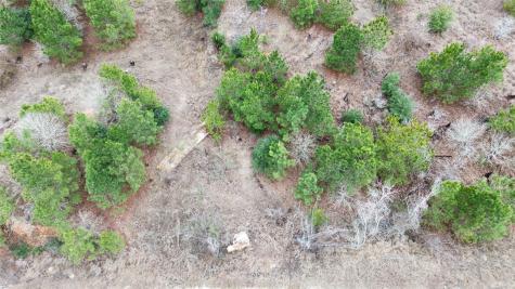 Lot 173 / R32210 Keo Kea Court Bastrop TX 78602